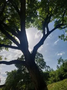 Vikendica NiNICA - Irig