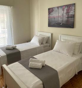 Spacious apartment near Panormou metro