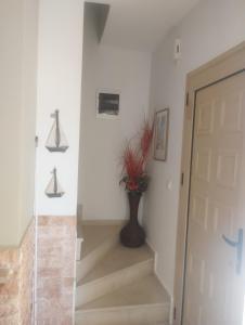 Toroni House!