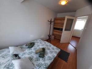 Zöld Béka Apartmanok Kölcsey III