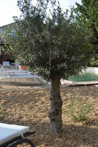 Hotels Le Domaine d-Euphony : photos des chambres