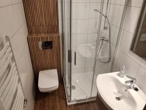 Willa u Kośle Zakopane sauna i bilard