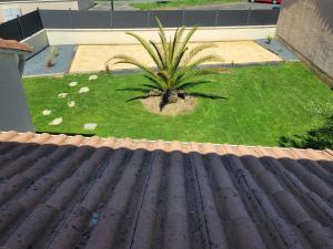 Villa des palmiers - Magnifique villa avec piscine chauffée et terrain de pétanque