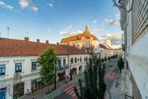 Noble 5 star House in Unirii plaza - Chinteni