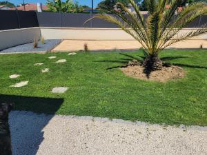 Villa des palmiers - Magnifique villa avec piscine chauffée et terrain de pétanque