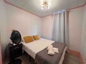 The Pink house walking distance to the Falls