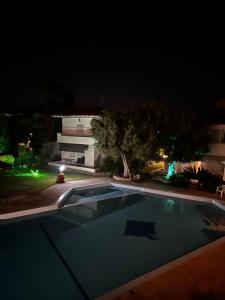 Palm trees apartment