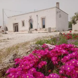 Villa Nuova 1924 - Mottola