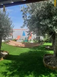 Casa das Andorinhas - Luz