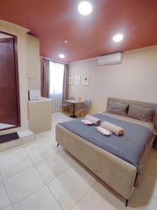 Salve rooms2 tabidze