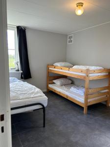 De Noardewyn - Camping Botniahiem - Damwoude