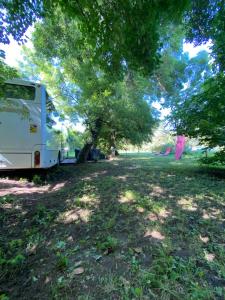 Tentes de luxe Woody Wood Bus : photos des chambres