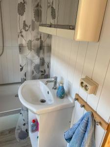 Przyczepa holenderska domek I