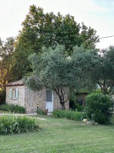 B&B / Chambres d'hotes Maisonnette independante au calme dans un grand jardin : photos des chambres