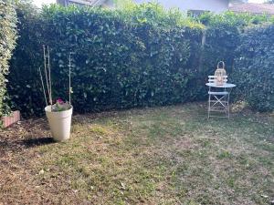 Appartements Le petit coin de Joe Detente Proche Centre bassin : photos des chambres