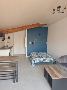 Appartements Studio 2 etoiles Le Balcon du Dome : photos des chambres
