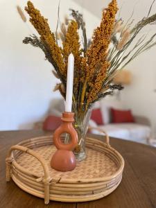 NEW La ferme fleurie Gîte Ty Rose