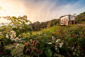 La Tribuna de los Andes Cabin 1