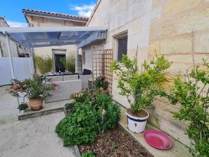 Maisons de vacances l-oasis girondine 4 etoiles : photos des chambres