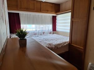 Počitniška kamp hiška Aleš, Terme 3000, bivanje s kopalnimi kartami 