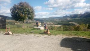 Maisons de vacances La vie en rosans : photos des chambres