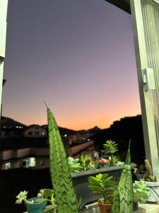 Apto Petrópolis Centro