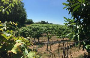 Villas Evasion a proximite de Bordeaux - Piscine Privee : photos des chambres