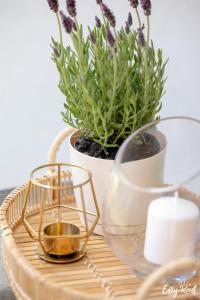 Apartamenty Pinea z widokiem na morze Easy - Rent Apartments