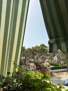 Family Apartment in Golem