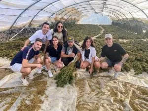 Old school farm - Ajdir