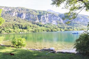 Das Mondsee-Apartment