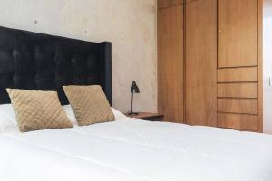 Luxury APT in Condesa, High Speed WiFi