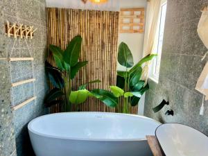 Fog Xóm Trâu Đảo Phú Quý