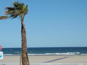 Appartement T2 Front de Mer avec Balcon et Parking – Confort et Activités à Proximité - FR-1-797-37