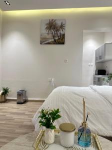 Elegant and quiet studio for smart entry