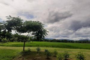 Naam and Nork Vegetarian Farmstay