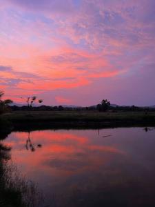 Naam and Nork Vegetarian Farmstay