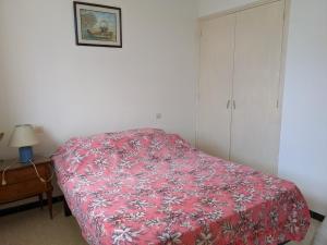 T2 Climatisé, 2 Cours, Proche Plage, Parking Privé, 5 Pers., Animaux Acceptés - FR-1-797-58