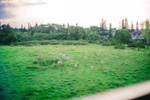 Japanese-Inspired Hideaway in Tagaytay