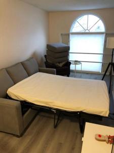 unit #203 Cozy Mountain View 1BR in DT