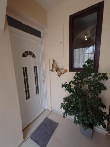 Apartman M&D 