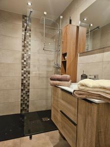 Charmant T1 montagnard proche télécabine