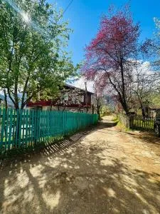 Family Hotel Sunrise merisi - K'eda