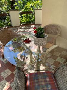 Oaza Borek - Stylowy Apartament