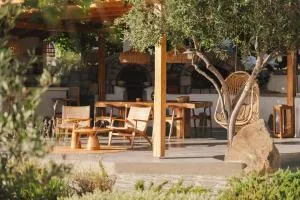 Iliana Olive Branch - Adamas