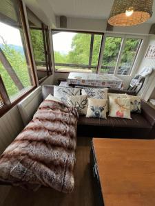 Appartements Bel appart dans chalet Pla Adet : photos des chambres