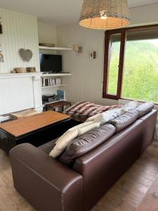 Appartements Bel appart dans chalet Pla Adet : photos des chambres