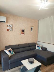 Art Sense Мезонет