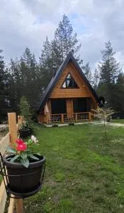 Pine forest-White - Vrela