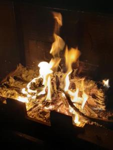 La casa de la encina